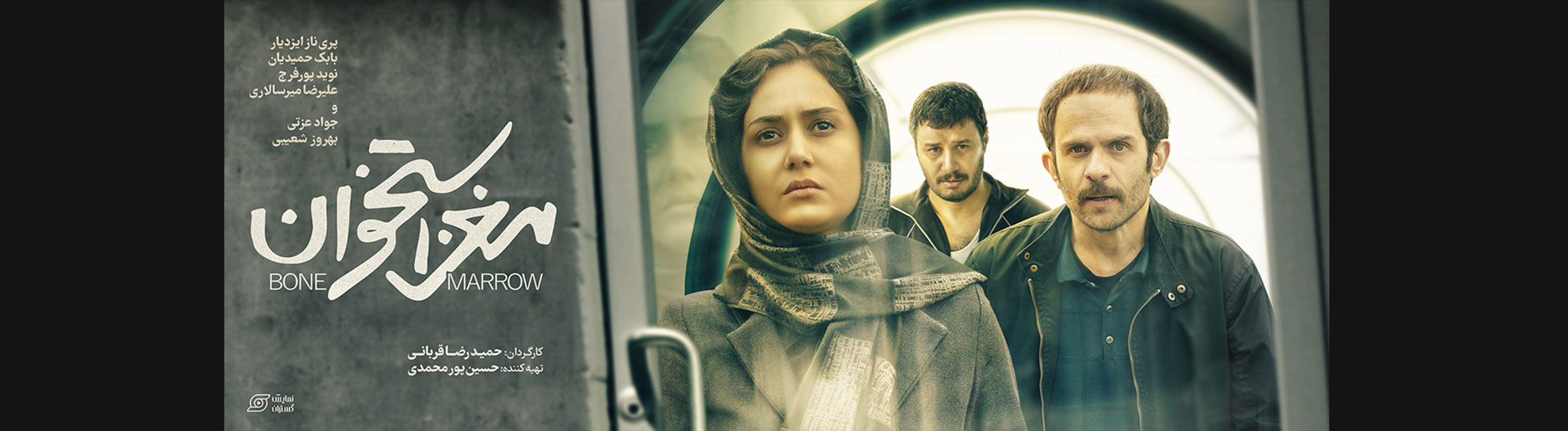 مغز استخوان