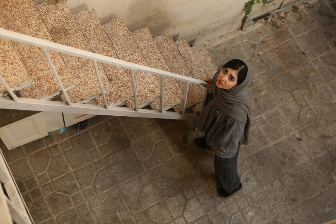 حکم تجدید نظر