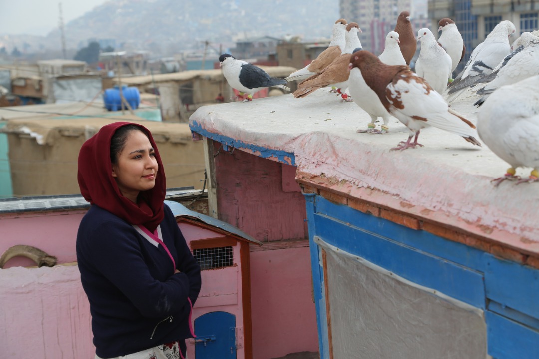 حوا مریم عایشه