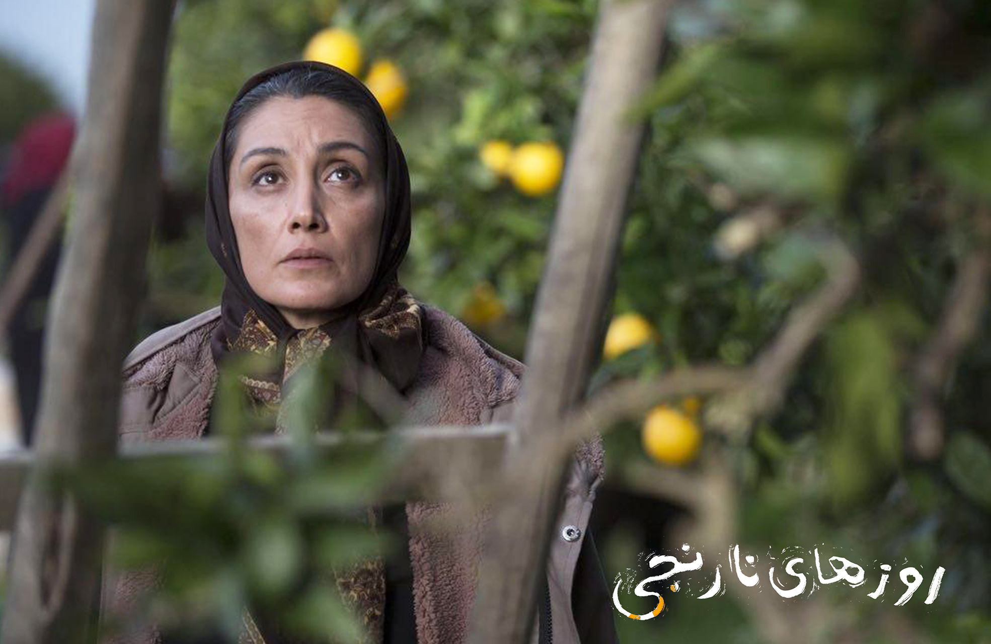 روزهای نارنجی